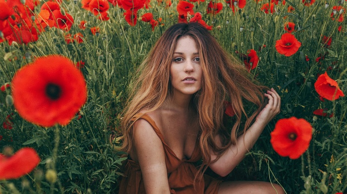 poppies, field, girl, plants, sitting, girl outdoors, dress, redhead, looking at viewer, nature, flowers