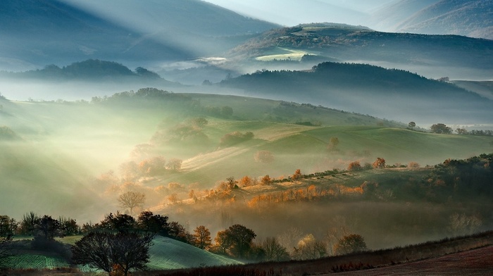 nature, mist, mountain, sunrise, field, trees, sun rays, landscape, fall