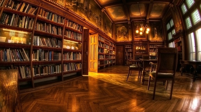 chair, library, shelves, lights, fisheye lens, books