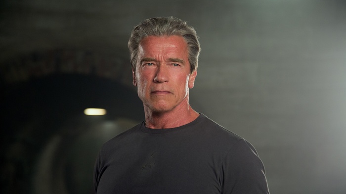 Terminator Genisys, Arnold Schwarzenegger, movies