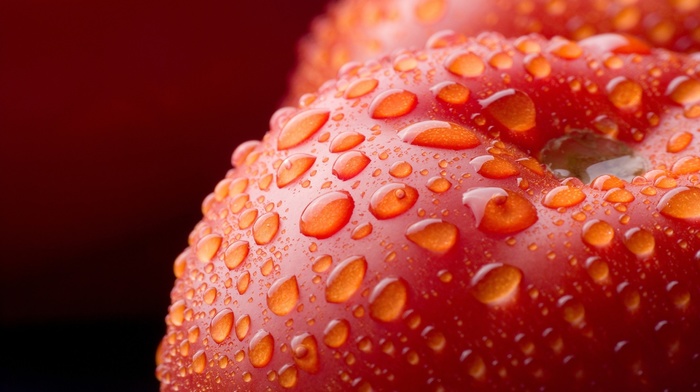 detailed, depth of field, macro, tomatoes, water drops, fruit, red, nature, vegetables