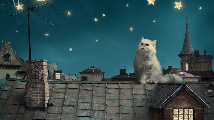 cat, digital art, house, rooftops, moon, crescent moon, animals, stars, persian cat