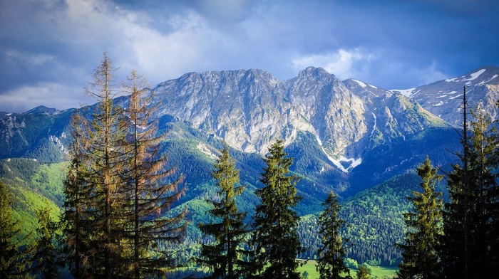 nature, mountain, landscape, summer, trees, Poland, Carpathians, clouds, forest