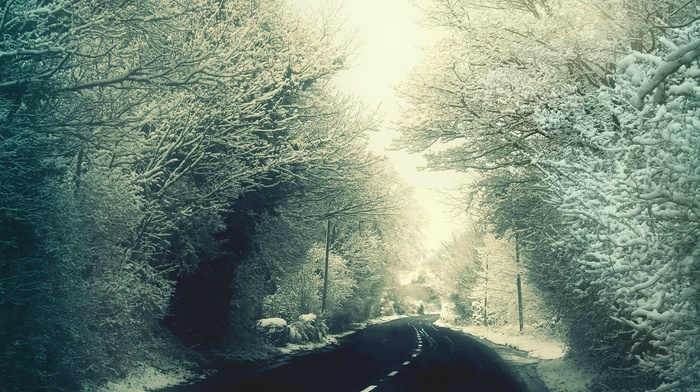 road, winter, landscape, snow