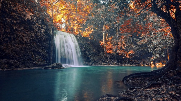 colorful, landscape, nature, waterfall, roots, tropical, trees, fall