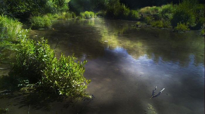 Adobe Photoshop, landscape, nature, water