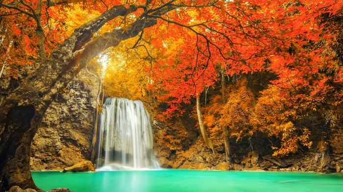 Thailand, nature, yellow, water, fall, landscape, turquoise, trees, colorful, waterfall, red