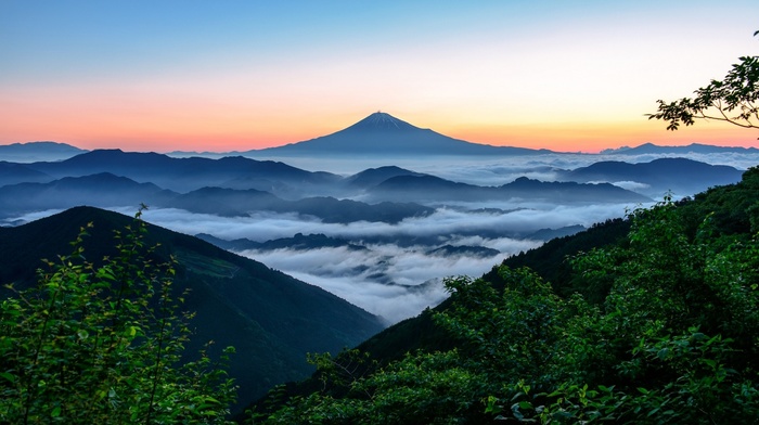 mountain, sunrise, Japan, landscape, mist, forest, nature, Mount Fuji