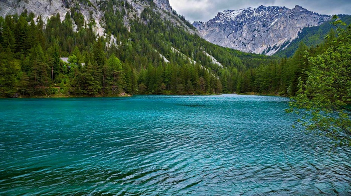 turquoise, green, forest, landscape, summer, lake, nature, trees, water, Alps, Austria, mountain