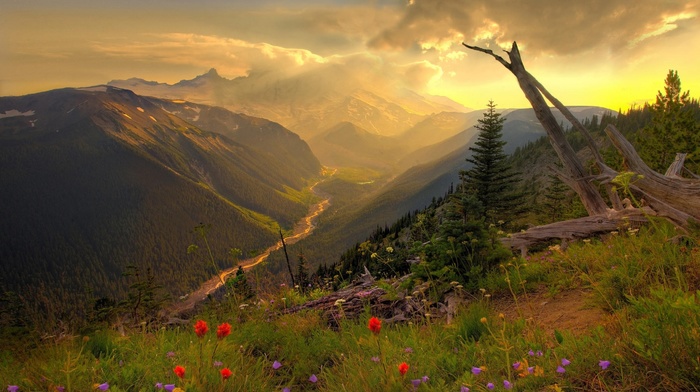 nature, landscape, mountain