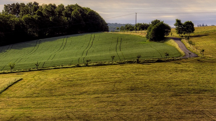 field, landscape, photography, nature