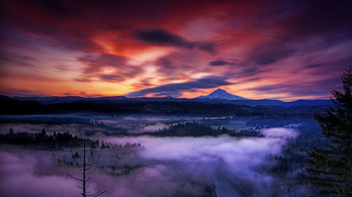 snowy peak, clouds, Oregon, forest, nature, mountain, valley, mist, landscape, sunset