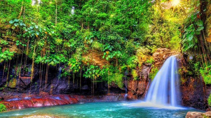 Caribbean, waterfall, Guadeloupe, nature, colorful, forest, island, shrubs, sun rays, trees, tropical, landscape