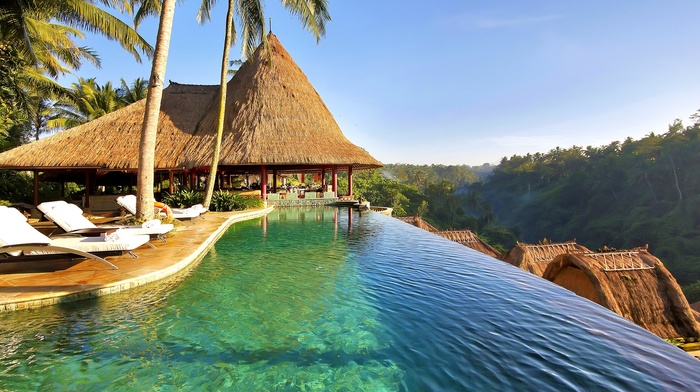 water, forest, swimming pool, nature, exotic, landscape, tropical, resort, palm trees