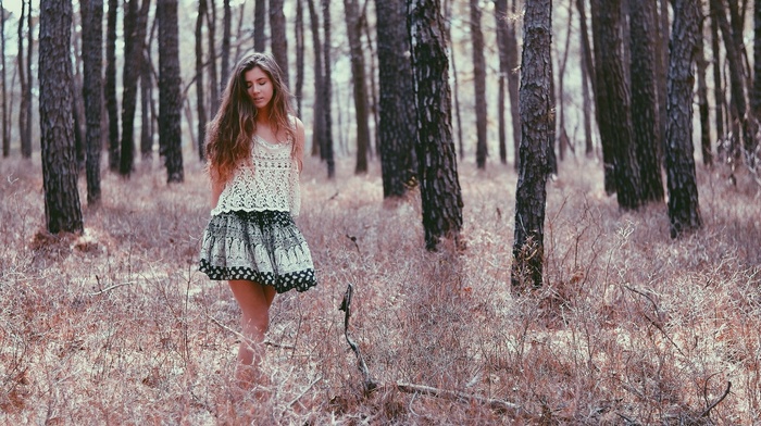 forest
