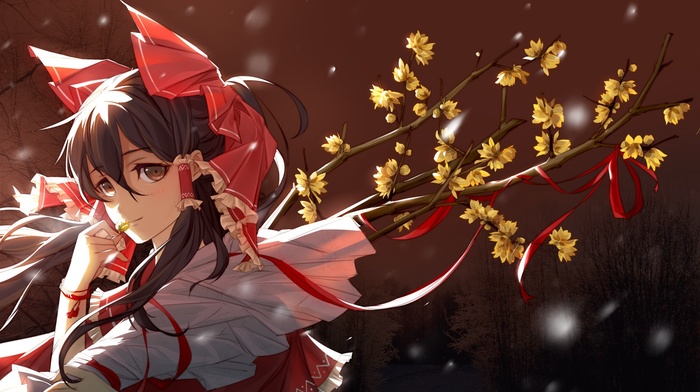 Hakurei Reimu, touhou