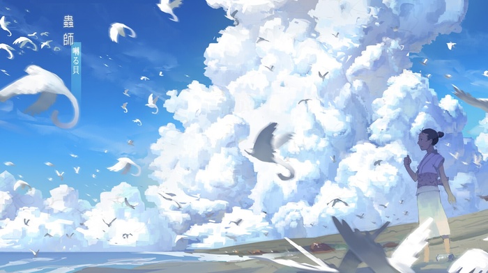birds, clouds
