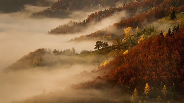 mountain, forest, morning, sunrise, landscape, cottage, mist, fall, trees, nature