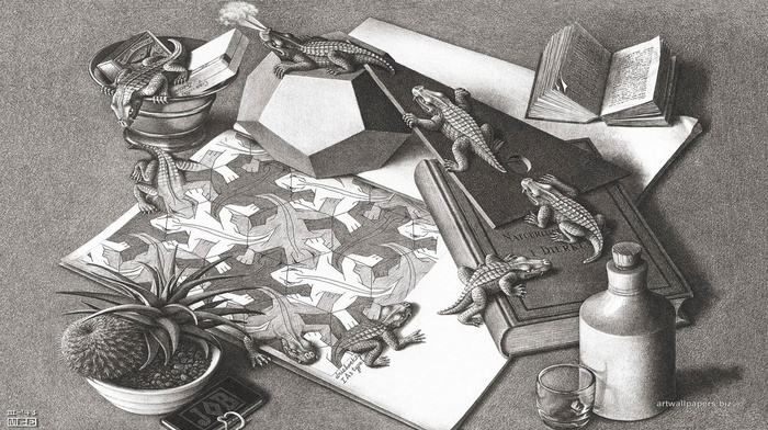 books, M. C. Escher, bottles, psychedelic, optical illusion, animals, 3D, artwork, drawing, reptile, monochrome