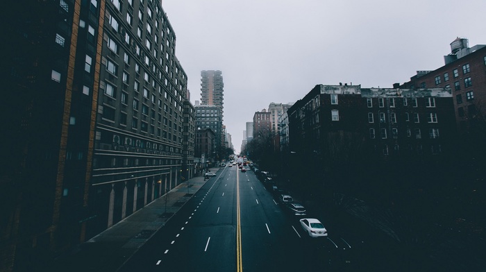 filter, street, mist, city
