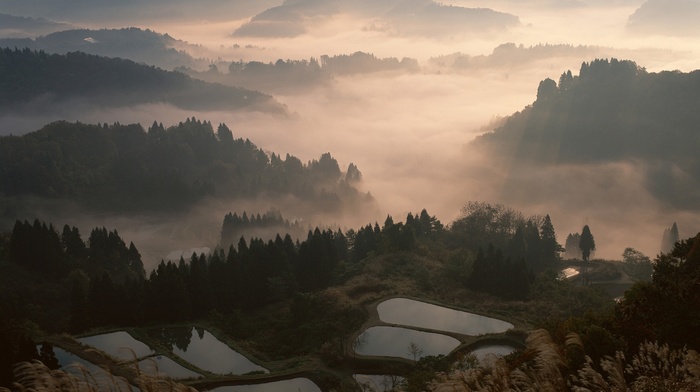 nature, sunrise, Japan, trees, landscape, mist, mountain, forest, valley, water, terraces