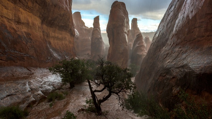 hill, clouds, wet, nature, river, canyon, rock, trees, rain