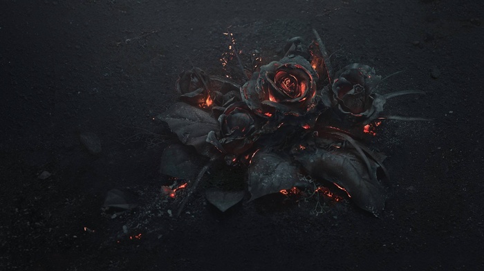 rose, flowers, fire, Gothic