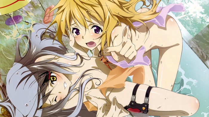 dunois charlotte, anime, Infinite Stratos, bodewig laura, anime girls