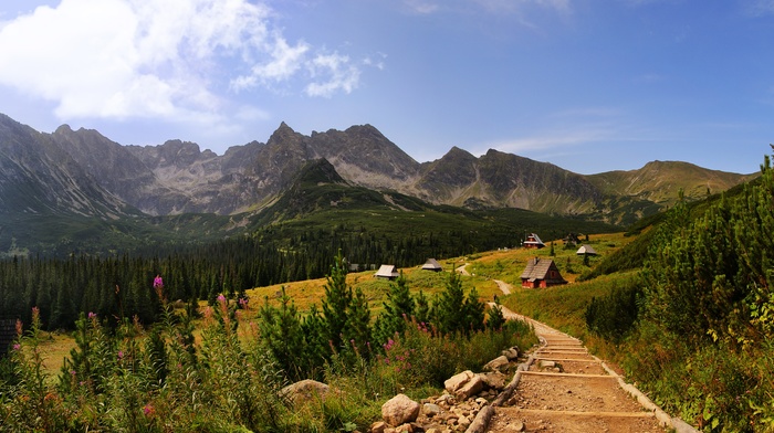 mountain