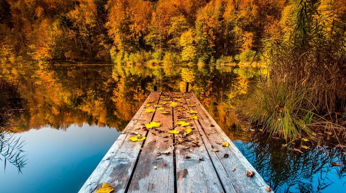 wooden surface, fall, pier, nature, trees, reflection, landscape, lake, leaves, forest, water