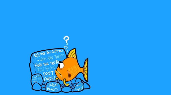 humor, fish, text