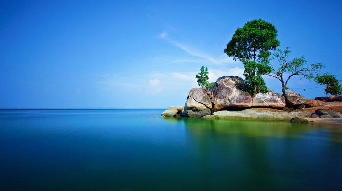 trees, landscape, alone, sea, rock, nature
