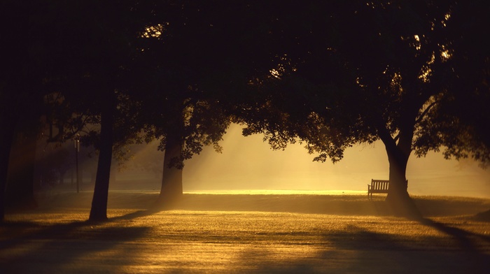 mist, trees, photography, sunlight, sunset, bench