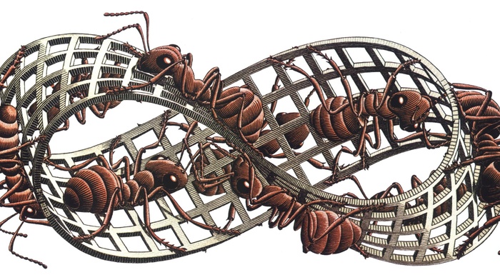 M. C. Escher, grid, white background, artwork, insect, 3D, Mobius strip, ants