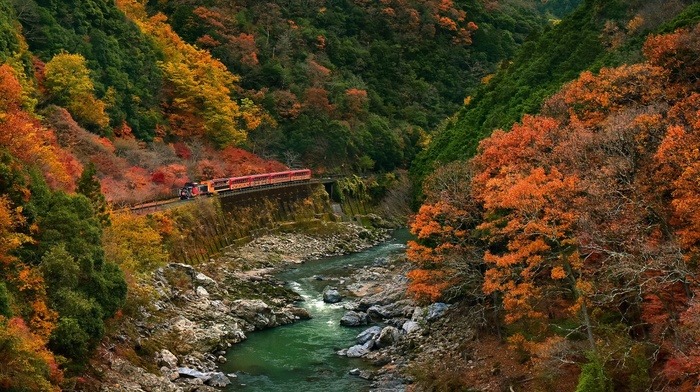 fall, landscape, colorful, branch, water, nature, trees, railway, stones, train, bridge, forest, river, leaves, stream, rock