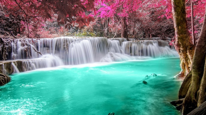 nature, pond, white, landscape, colorful, turquoise, tropical, waterfall, Thailand, pink, forest, leaves, river, trees