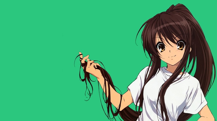 the melancholy of haruhi suzumiya, anime vectors, green background, suzumiya haruhi, simple background, anime