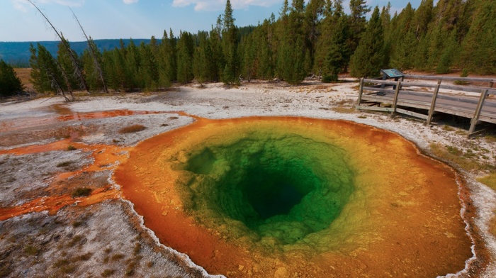 nature, Yellowstone National Park