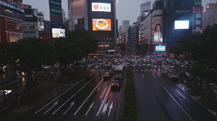 Tokyo, Japan, city, car