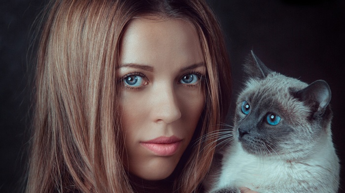 brunette, cat, model, face, blue eyes, portrait, girl