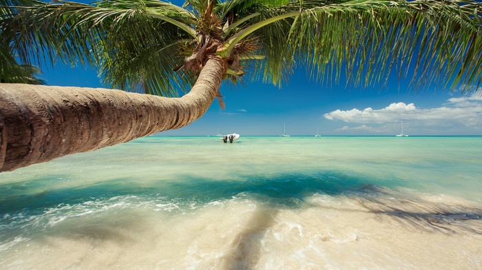 summer, tropical, nature, water, landscape, beach, palm trees, sailboats, sea, Caribbean