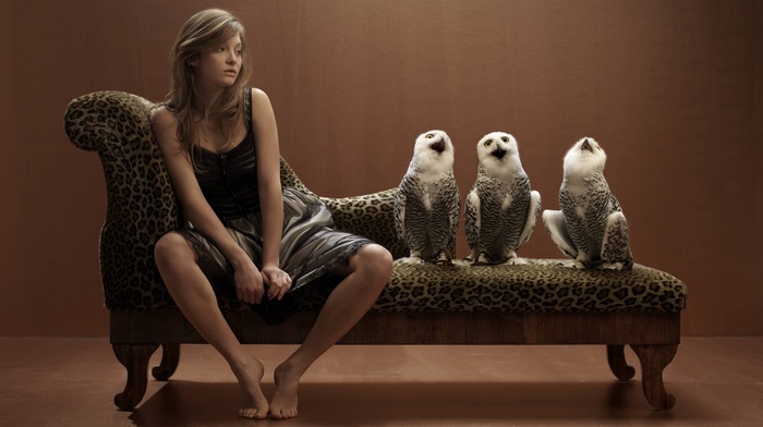 girl, owl, sitting