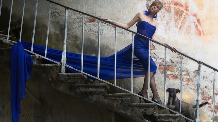 girl, dog, blue dress, stairs, model