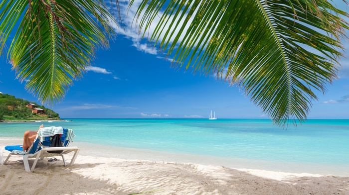 sea, sand, Vacations, tropical, beach, landscape, summer, clouds, nature, Caribbean, palm trees