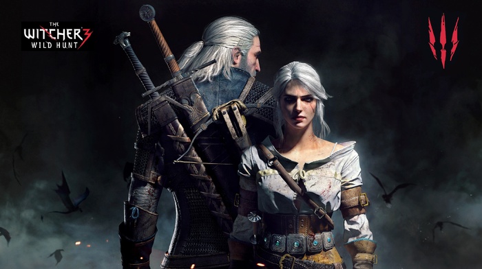 The Witcher 3 Wild Hunt, The Witcher, video games