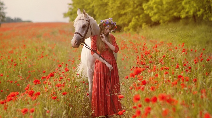 horse, flowers, animals, poppies, girl outdoors, nature