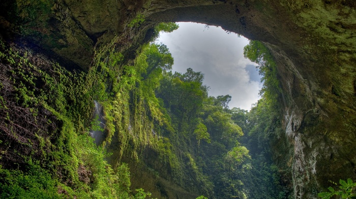 overcast, trees, forest, landscape, nature, cave