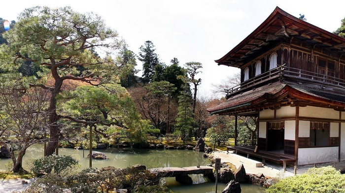 garden, Japanese Garden