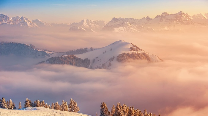 landscape, mist, snow, mountain