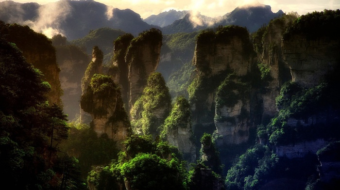 forest, limestone, mountain, nature, landscape, China, sunset, World Heritage Site, trees, Avatar, rock, mist